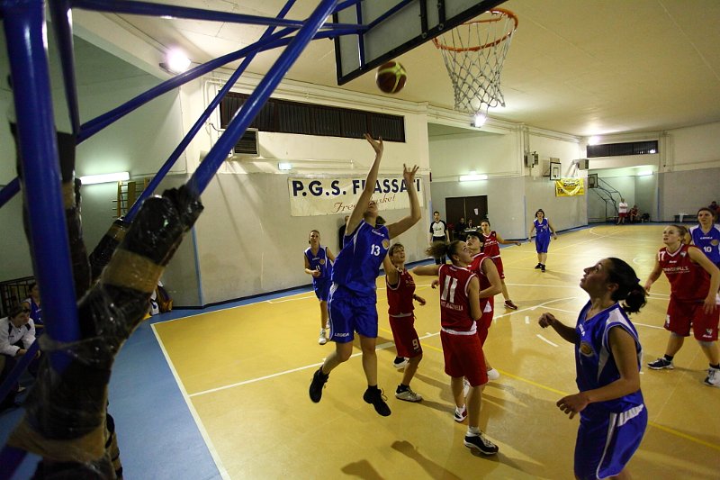 Basket 443037